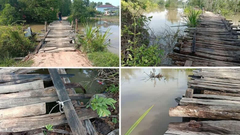 木桥破旧不堪，柬埔寨近400户家庭呼应当局修建新桥！
