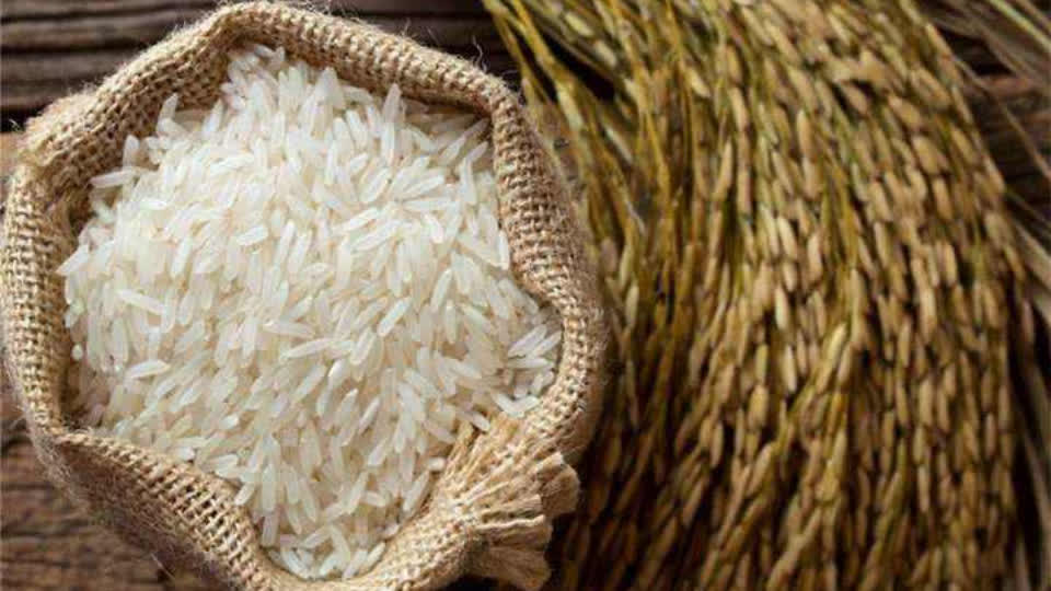 2022年1月到4月柬埔寨大米出口激增，因欧盟的大米保障措施结束