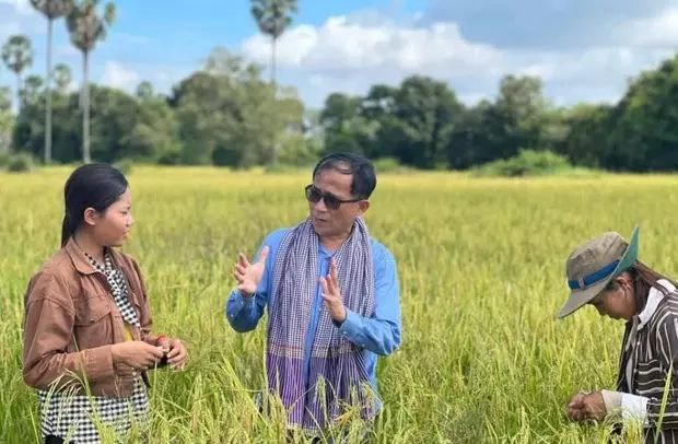 柬埔寨跃居世界第七大稻米出口国