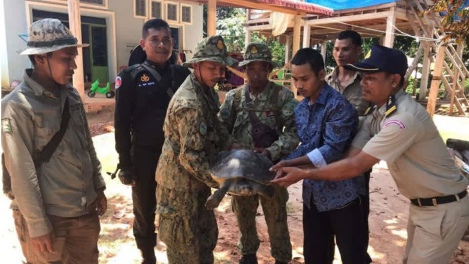 柬埔寨一只14公斤皇家龟被渔民捕获，当局立即没收及放生！